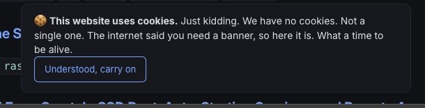 What I saw: the cookie banner with the button below the text, on the left